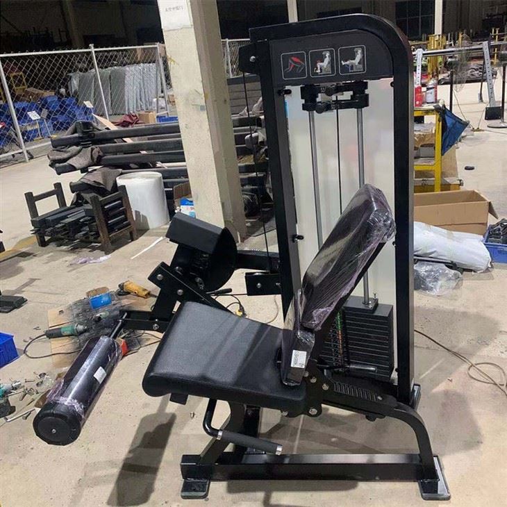 The Seated Leg Extension factory