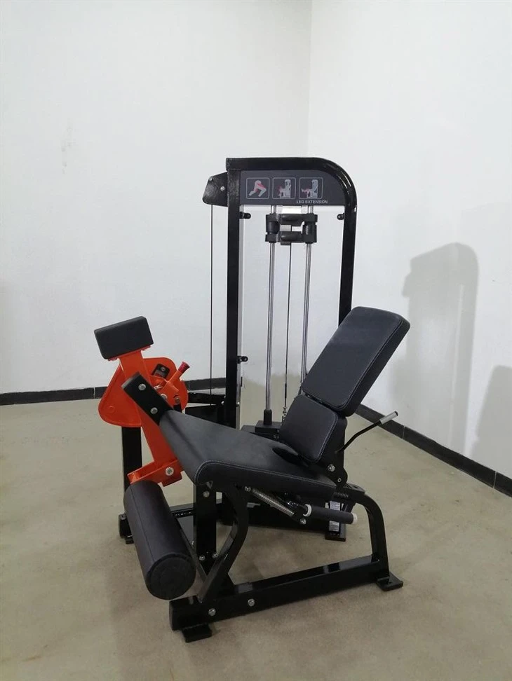 The Seated Leg Extension best