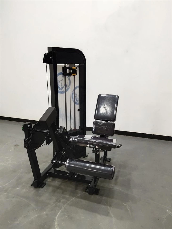 The Seated Leg Extension high quality