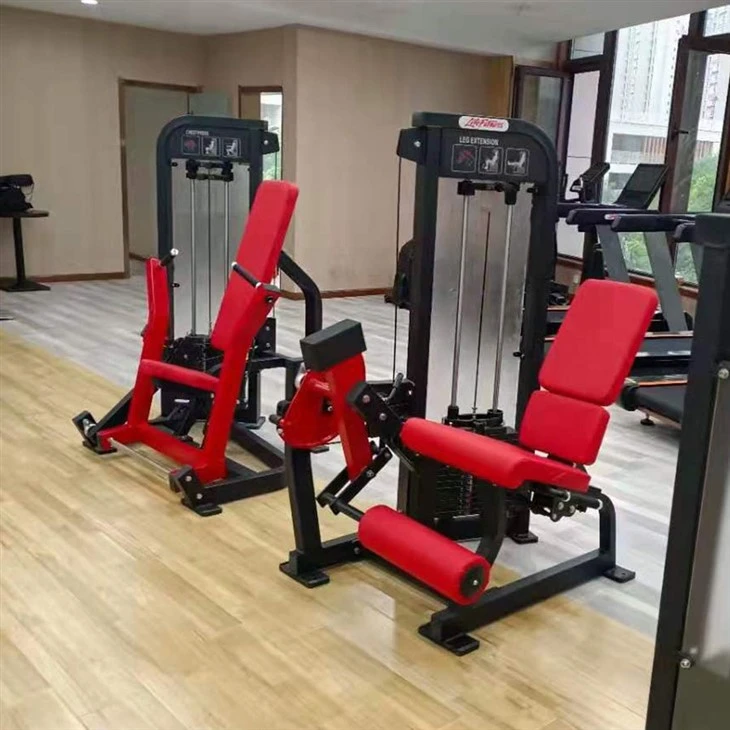 The Seated Leg Extension suppliers