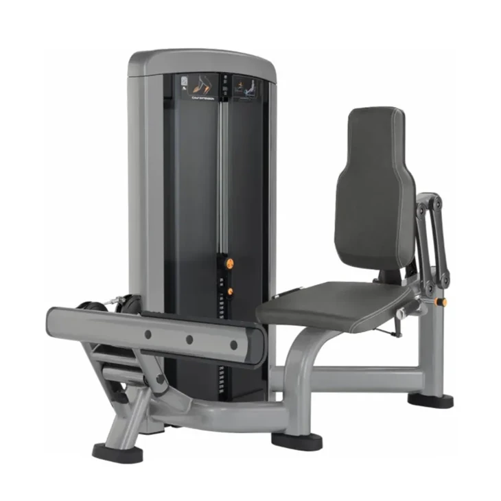 Seated Calf Raise Machine: Shape Slim Calf Lines price